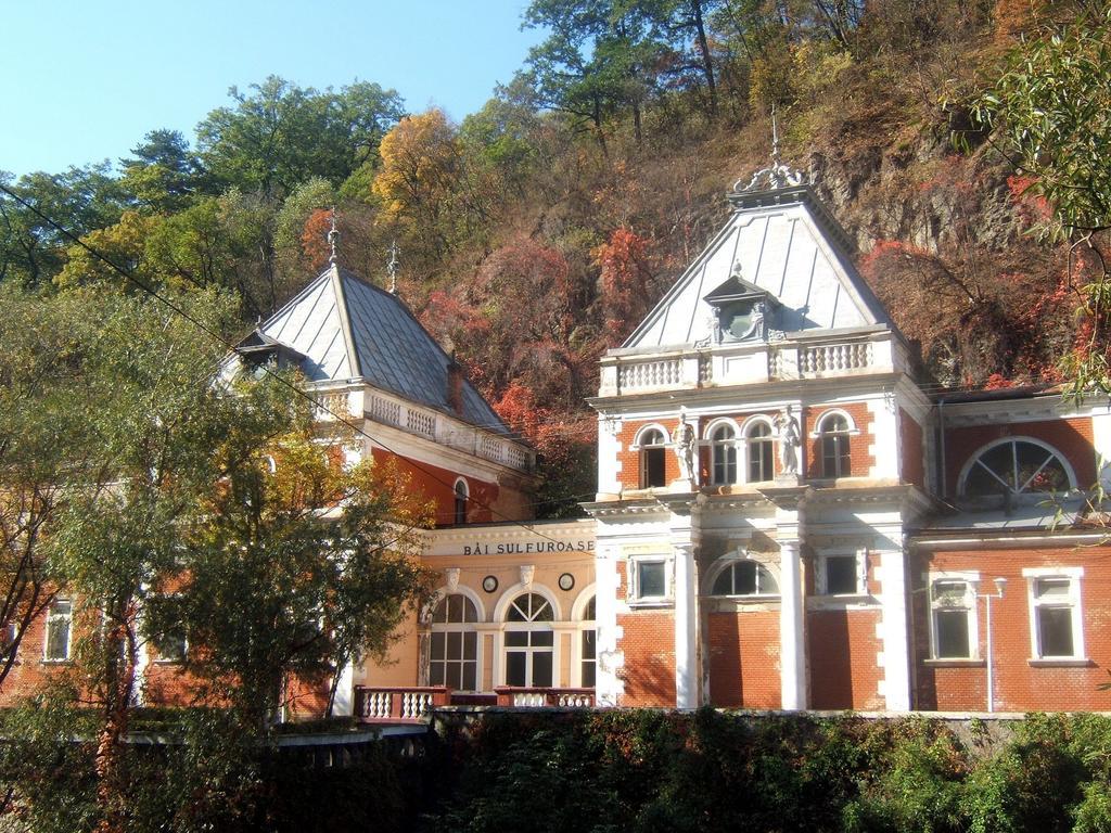 Pensiunea Floare De Colt Hotel Herkulesfürdő Kültér fotó